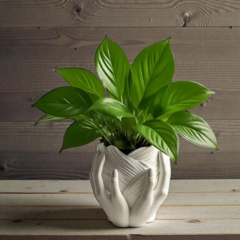 Silikon Gießform Herzvase mit zwei Händen, Blumentopf – Pflanzgefäß-Form für Beton/Raysin/Keraflott – wiederverwendbare, glatte Silikonform