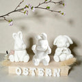 Silikon Gießform Osterhasen Familie Set (3 Formen) | Raysin & Keraflott Form | Hasenfiguren gießen | Osterdeko DIY